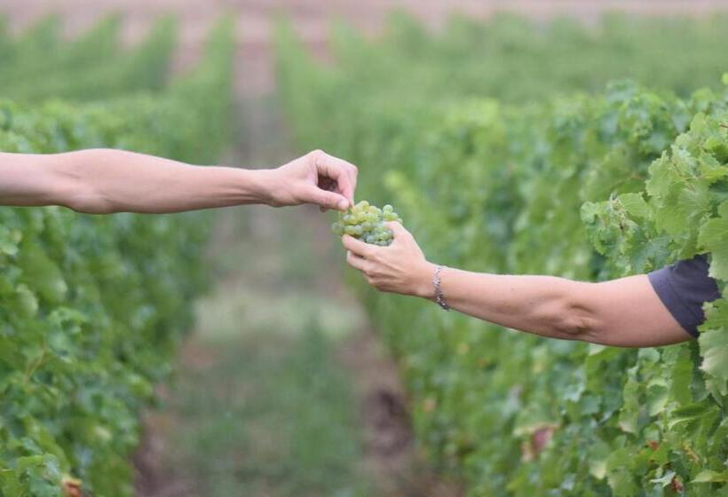 צימר Château Richelieu