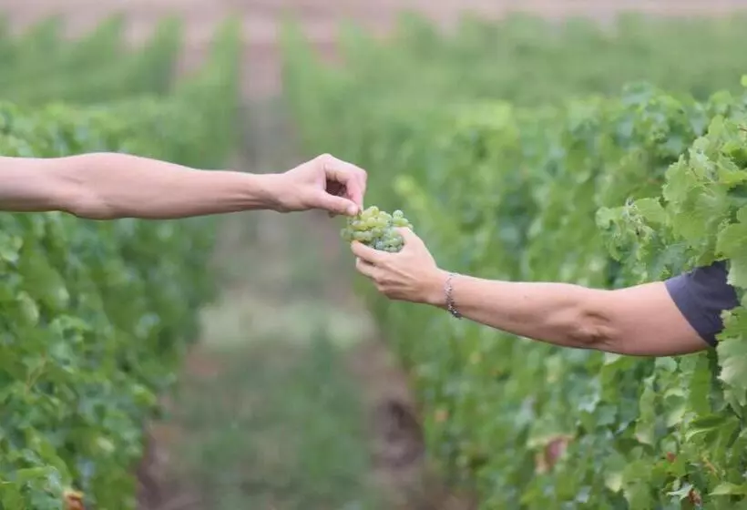 Aamiaismajoitus (B&B) Château Richelieu