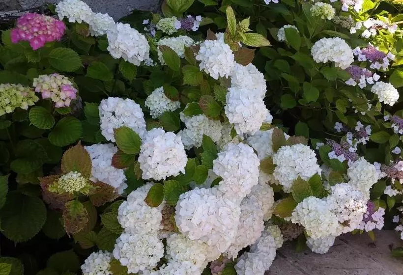 Aamiaismajoitus (B&B) Château Richelieu