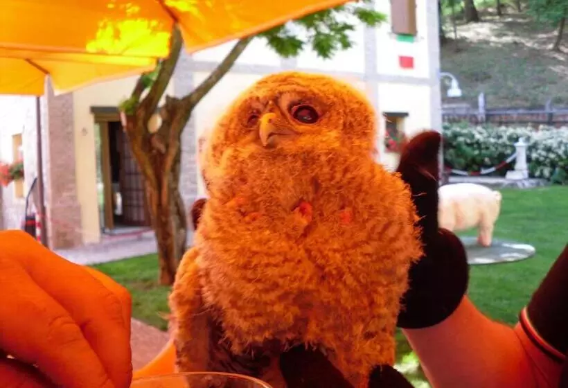 Aamiaismajoitus (B&B) Corte Ca' Bosco