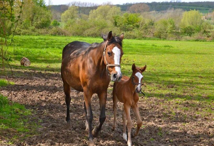 민박 La Villa Belle