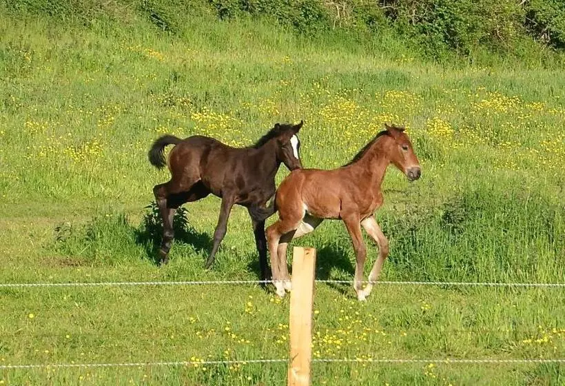 Aamiaismajoitus (B&B) La Villa Belle
