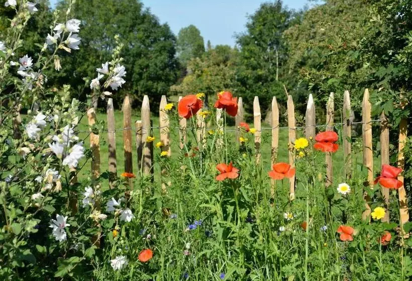 Aamiaismajoitus (B&B) La Villa Belle
