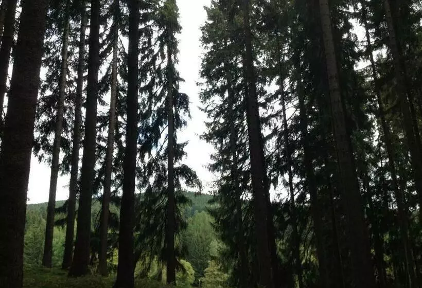 Aamiaismajoitus (B&B) Pension U Jelinka