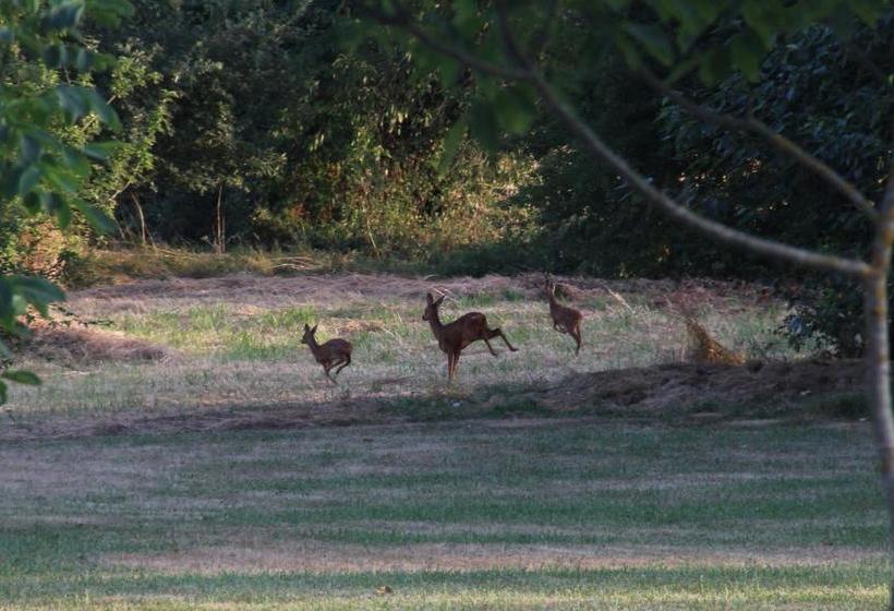 Bed and Breakfast Saint Victor La Grand  Maison