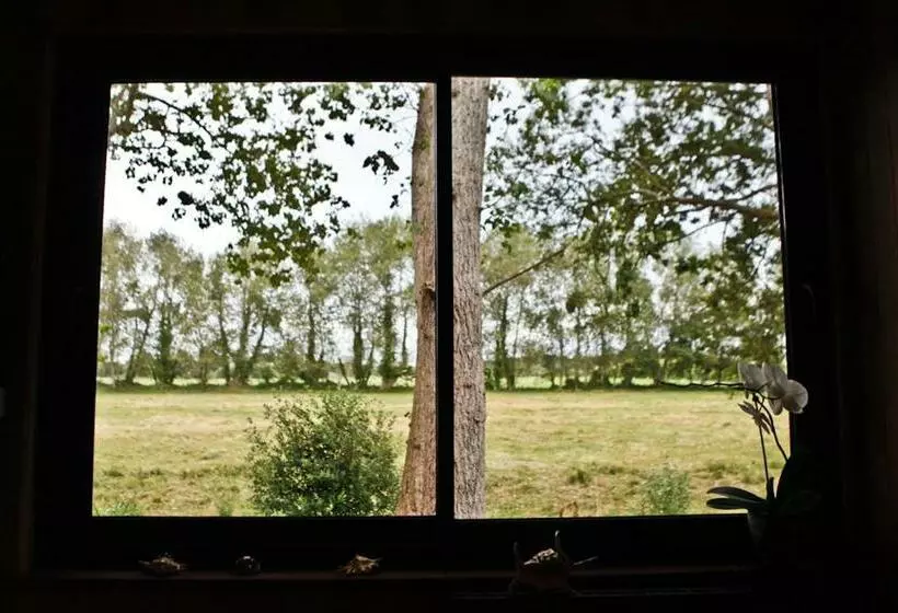 Aamiaismajoitus (B&B) Ty Polder