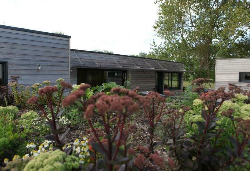 Bed and Breakfast Ty Polder