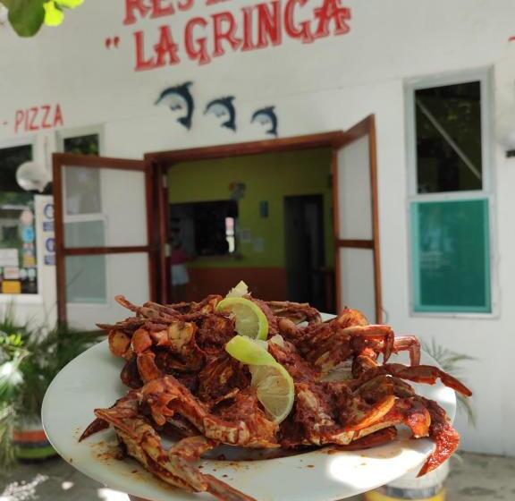 Freedom Shores La Gringa Hotel   Universally Designed