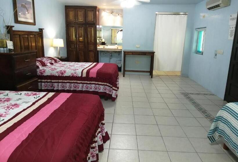 Freedom Shores La Gringa Hotel   Universally Designed