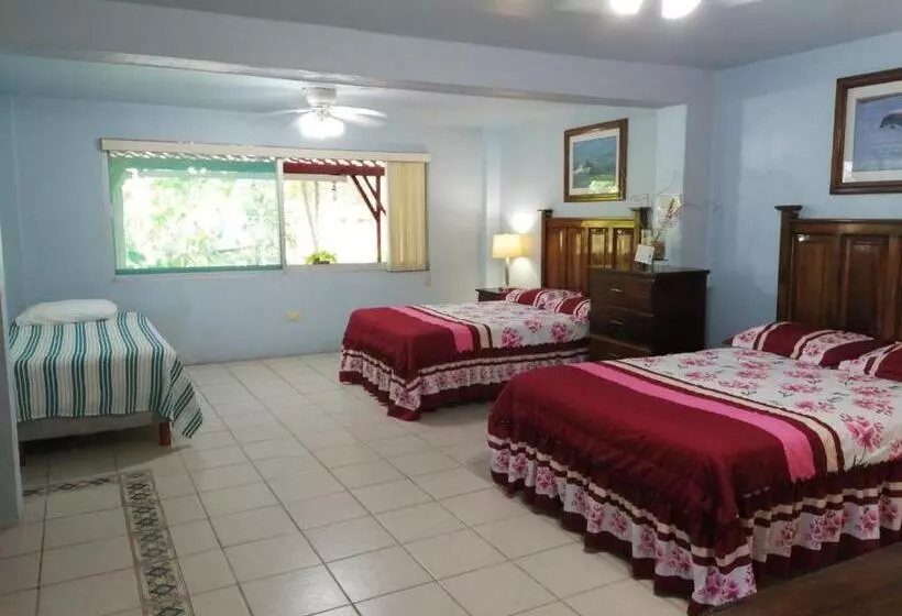 Freedom Shores La Gringa Hotel   Universally Designed