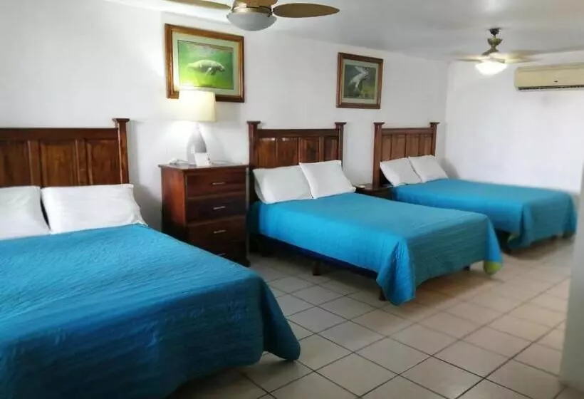 Freedom Shores La Gringa Hotel   Universally Designed