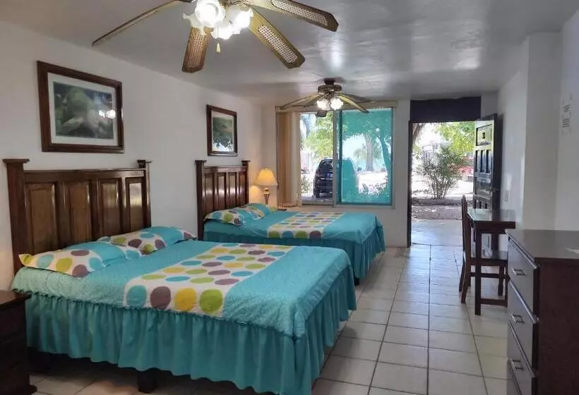 Freedom Shores La Gringa Hotel   Universally Designed