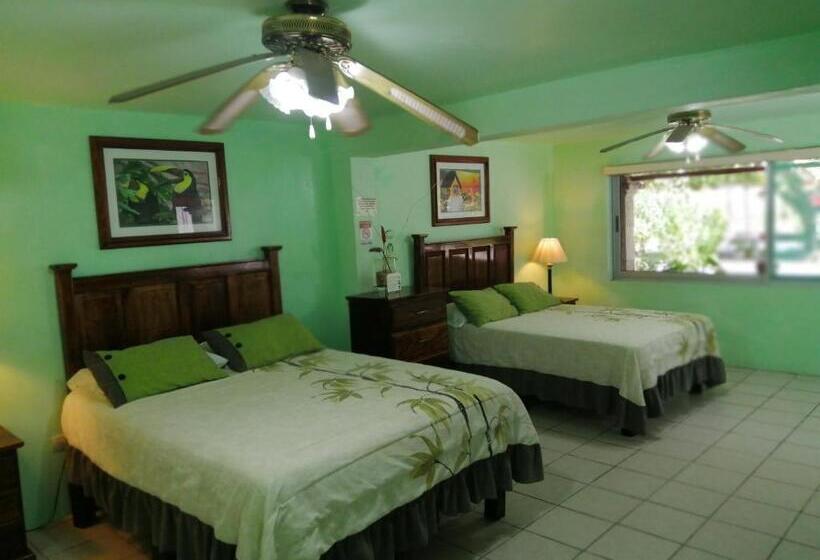 Freedom Shores La Gringa Hotel   Universally Designed