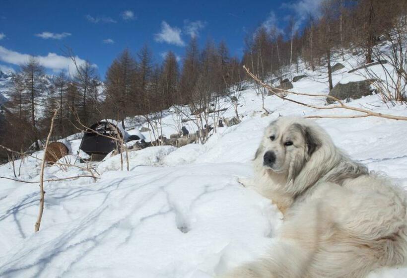 Отель Agriturismo A Nostro Mizoun