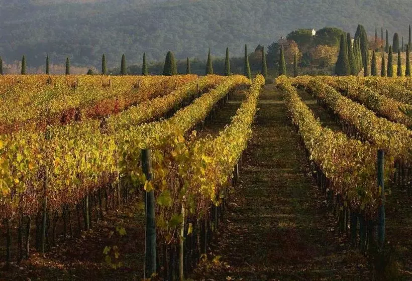 ホテル Castello Di Gabbiano