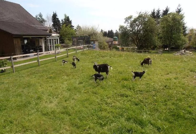 ホテル Don Camillo Gästehaus