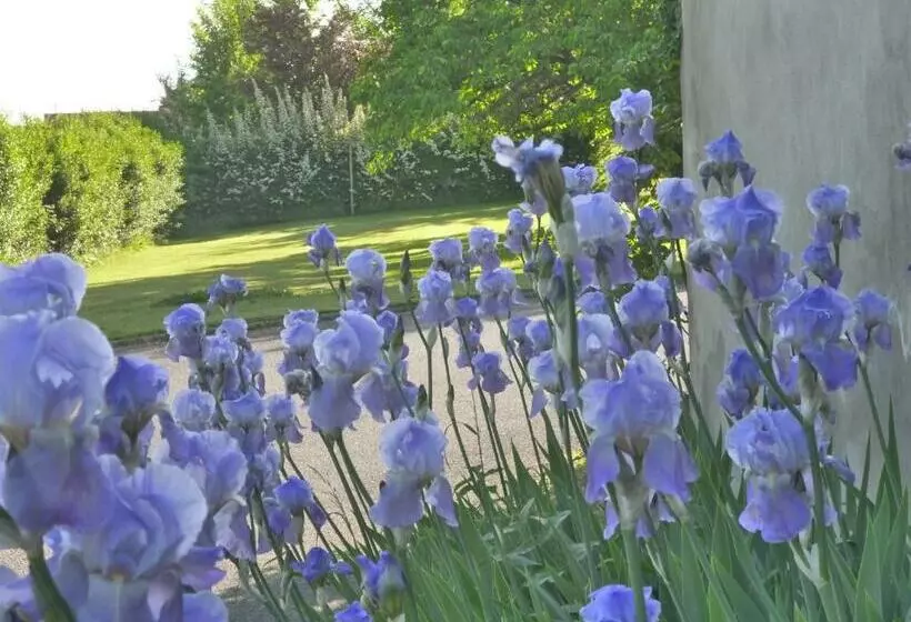 Hotelli Hôtel Vulcain