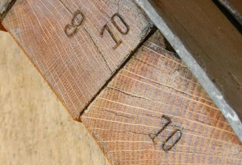 Majatalo Rüedi   Fasstastische Ferien