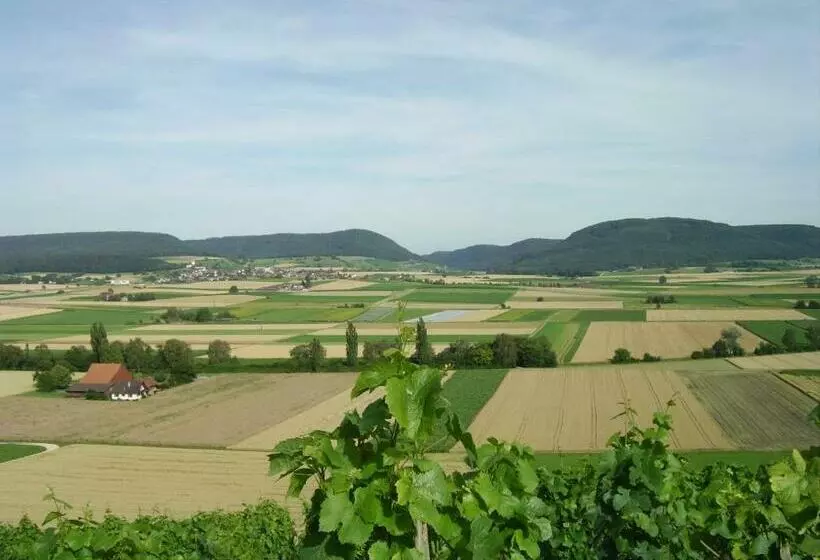 Majatalo Rüedi   Fasstastische Ferien