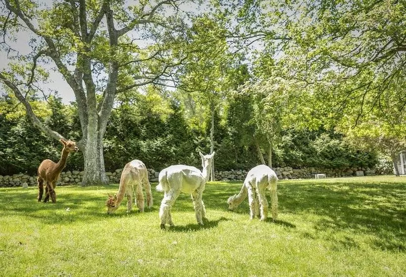 Retkeilymaja Lambert S Cove Inn & Resort