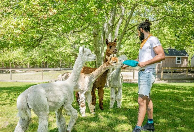 הוסטל Lambert S Cove Inn & Resort