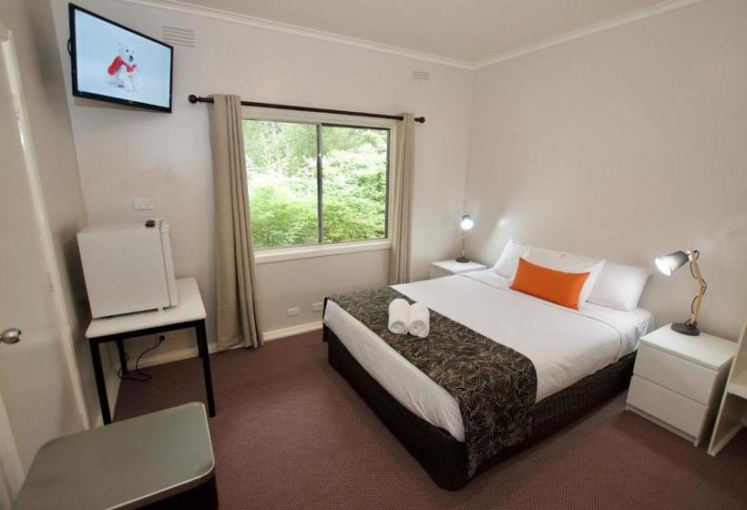 ユースホステル Mountain View Holiday Retreat