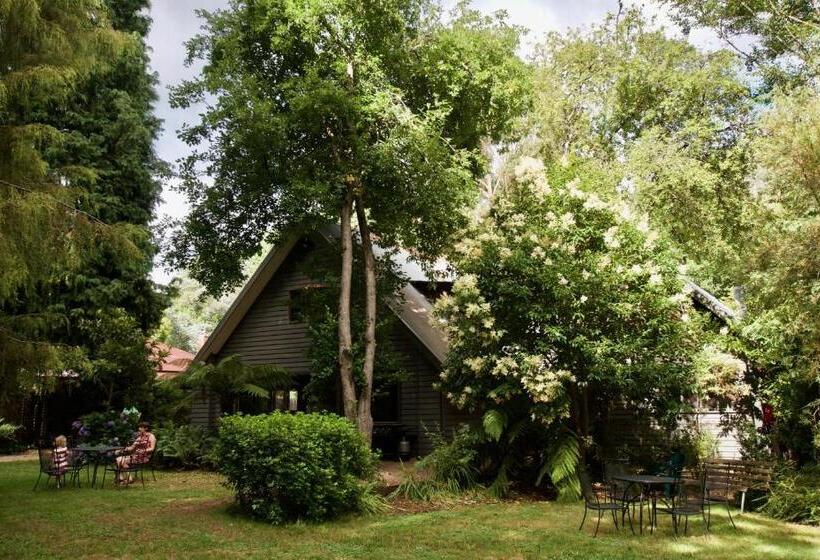 ユースホステル Mountain View Holiday Retreat