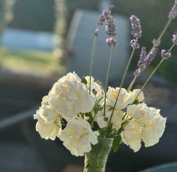 Bed and Breakfast Holiday Home Sovenigo