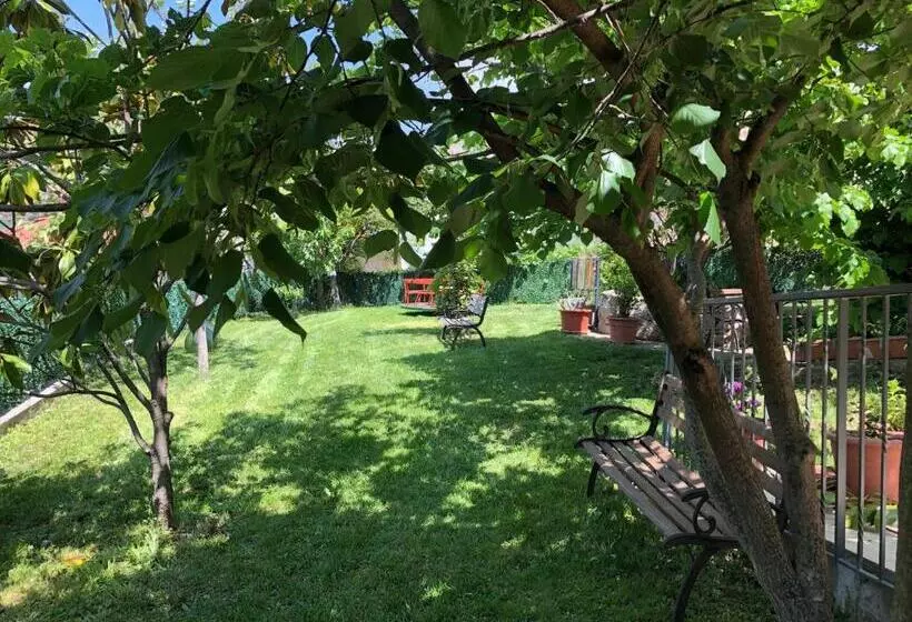 Aamiaismajoitus (B&B) Casa Vacanze Primula Palinuri