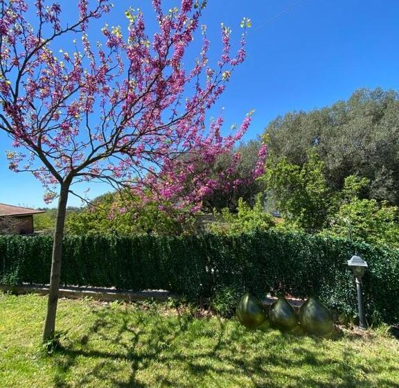 צימר Casa Vacanze Primula Palinuri