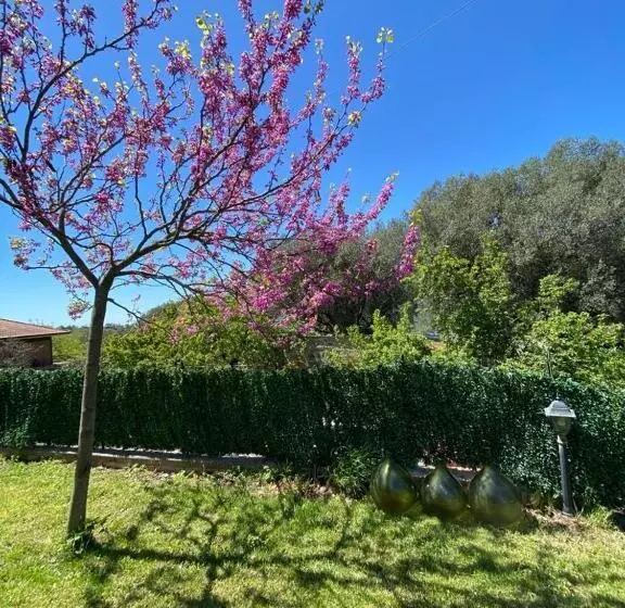 Aamiaismajoitus (B&B) Casa Vacanze Primula Palinuri