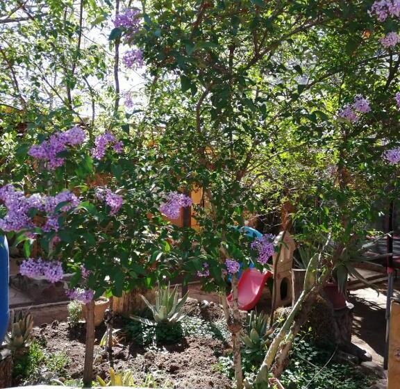 Bed and Breakfast Hostal Apuwara