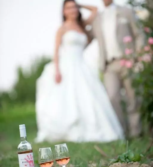 Aamiaismajoitus (B&B) Juhfark Fogadó és Borház