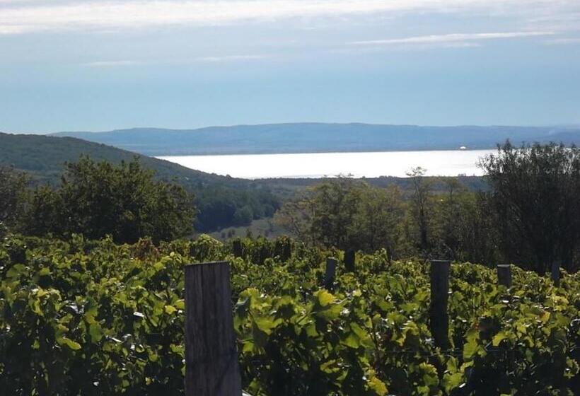 צימר Juhfark Fogadó és Borház