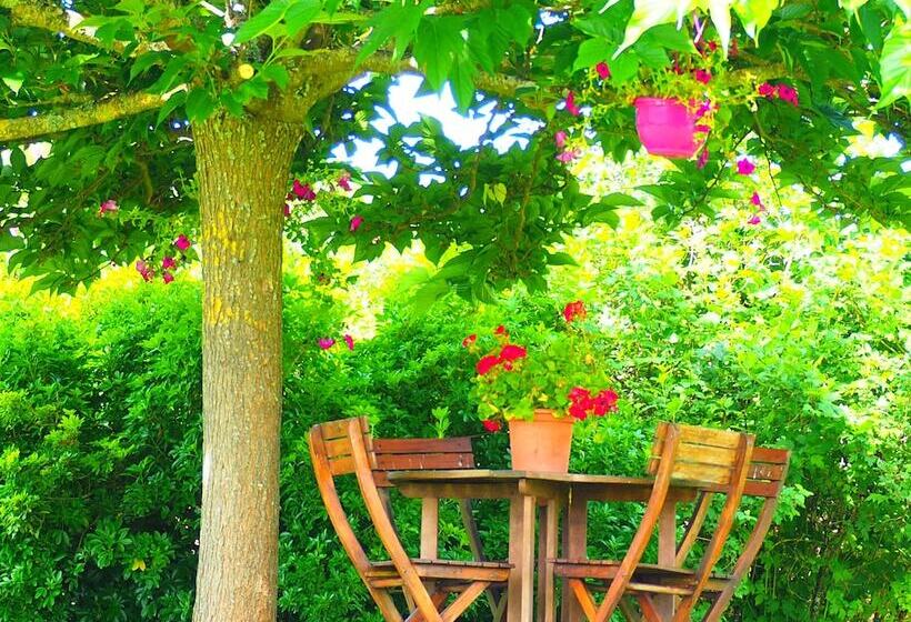 Bed and Breakfast La Belle Verte