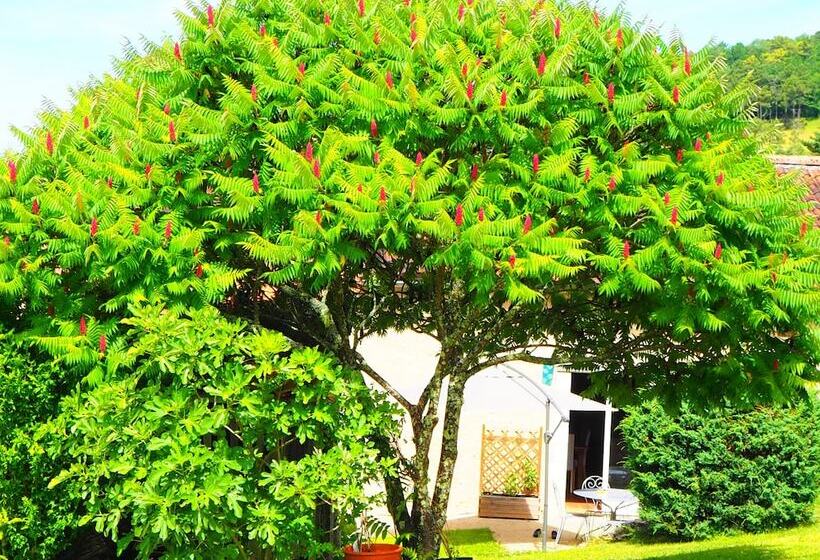 Bed and Breakfast La Belle Verte