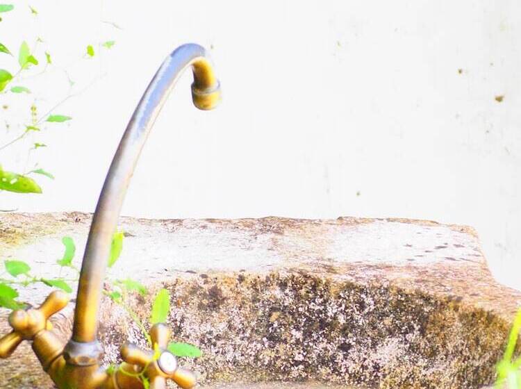 Bed and Breakfast La Belle Verte