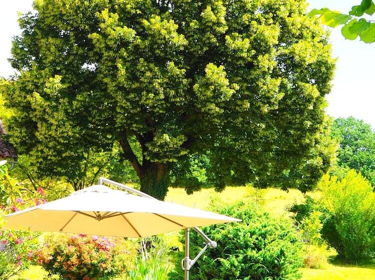 Bed and Breakfast La Belle Verte