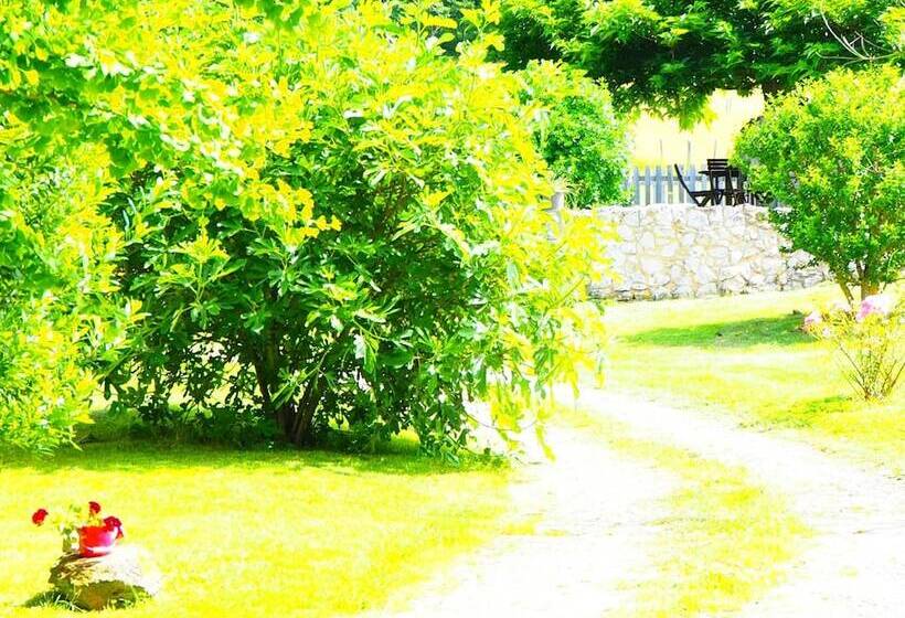 Bed and Breakfast La Belle Verte