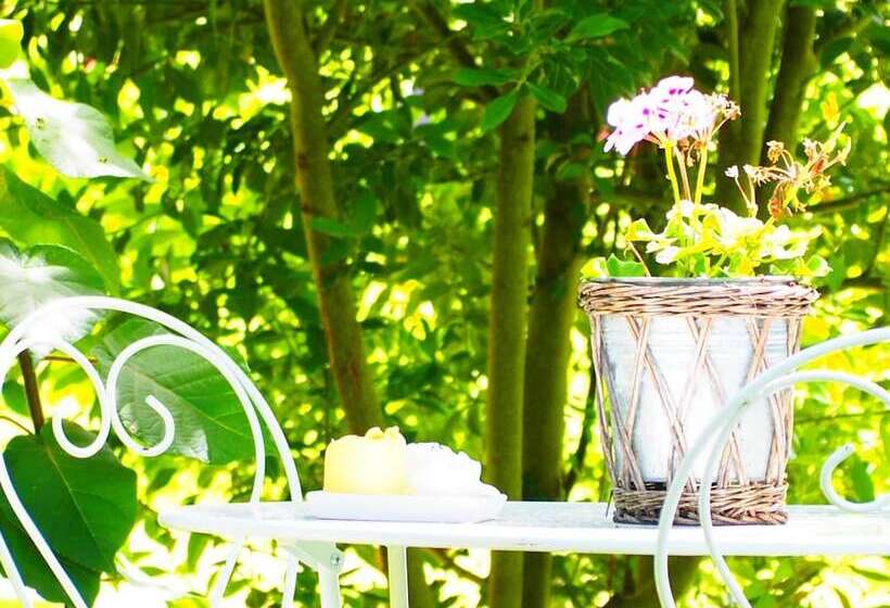 Bed and Breakfast La Belle Verte