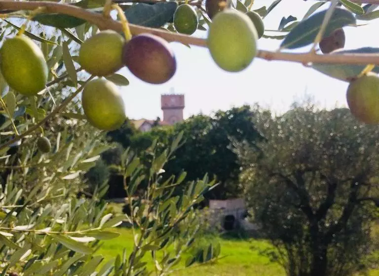 Aamiaismajoitus (B&B) La Lanterna