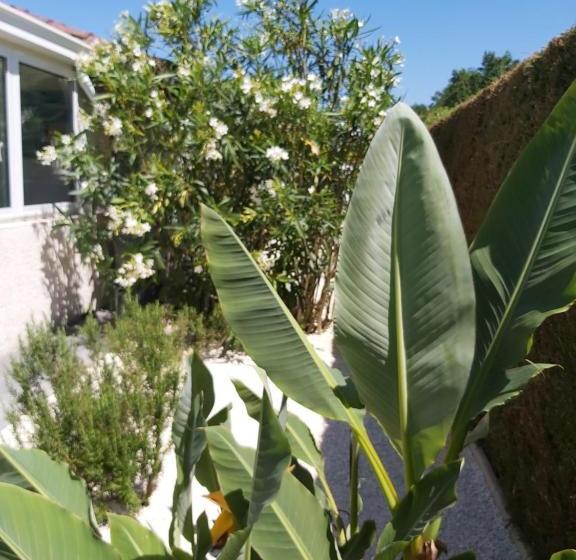 ベッドアンドブレックファースト Le Soleil Couchant