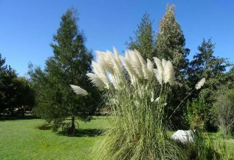Cabañas Parque Salto Del Laja