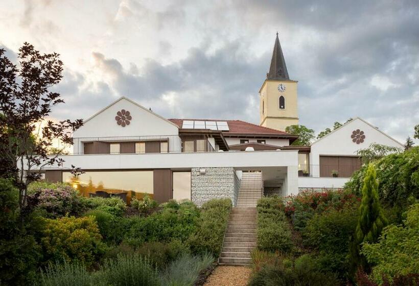 Отель Botrytis Bor