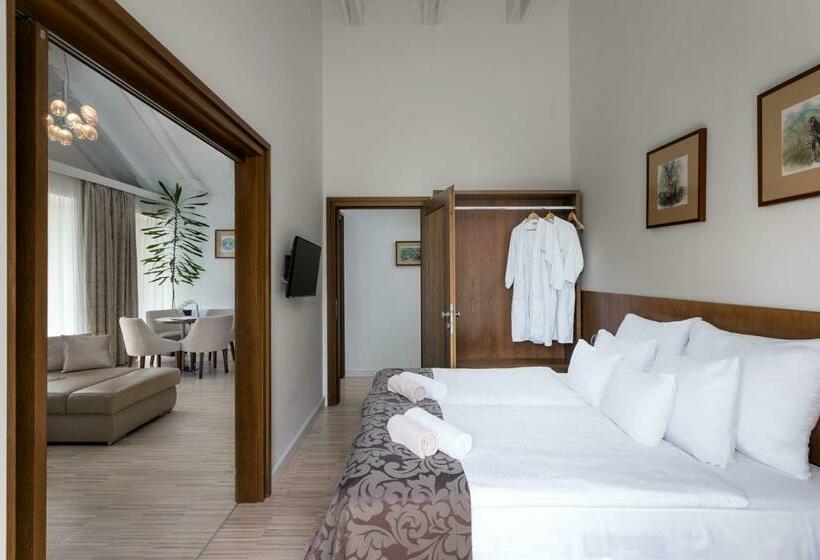 Отель Botrytis Bor