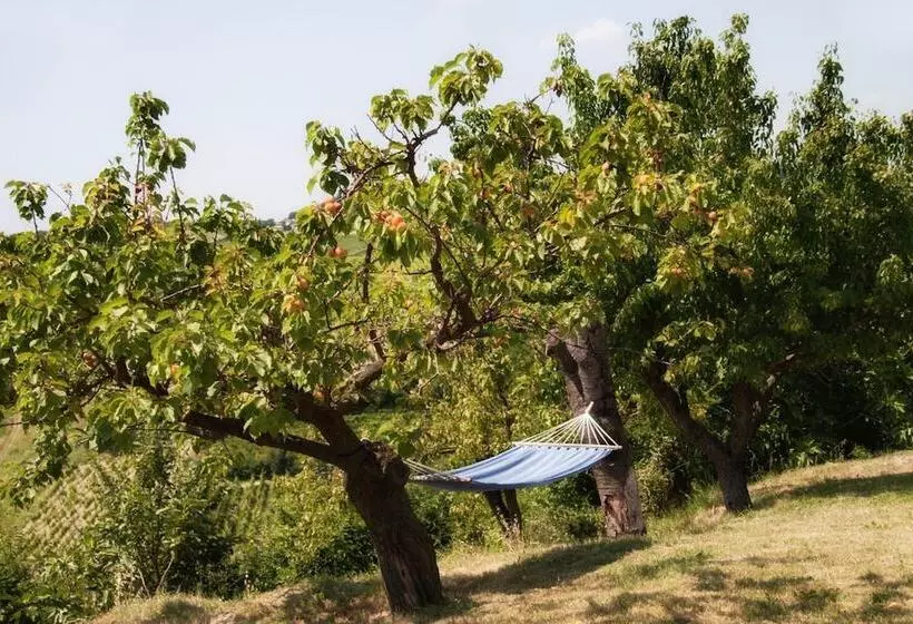Il Poggio B&b