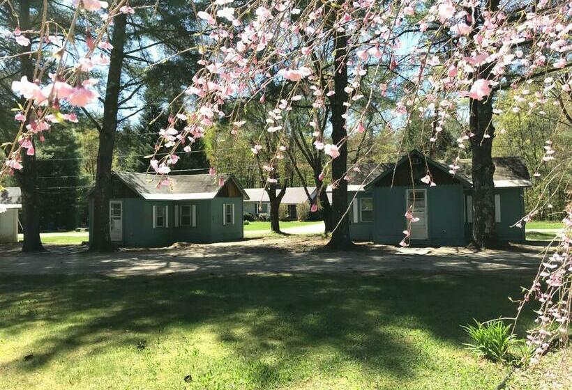 모텔 Pine Valley Cabins