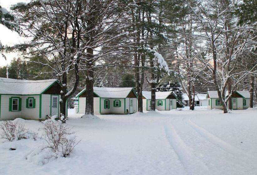 모텔 Pine Valley Cabins