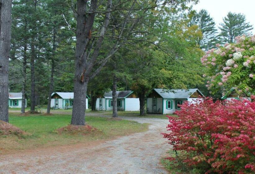 모텔 Pine Valley Cabins