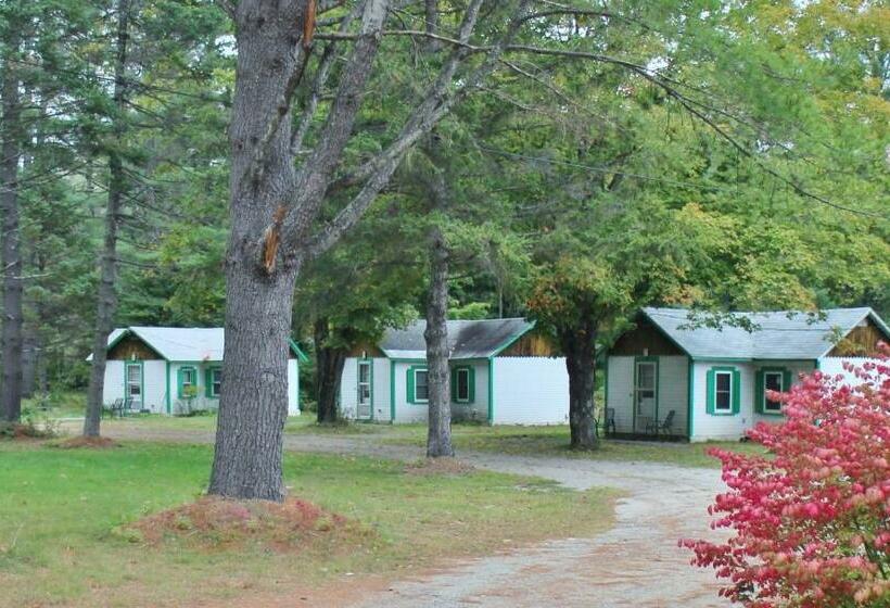 모텔 Pine Valley Cabins